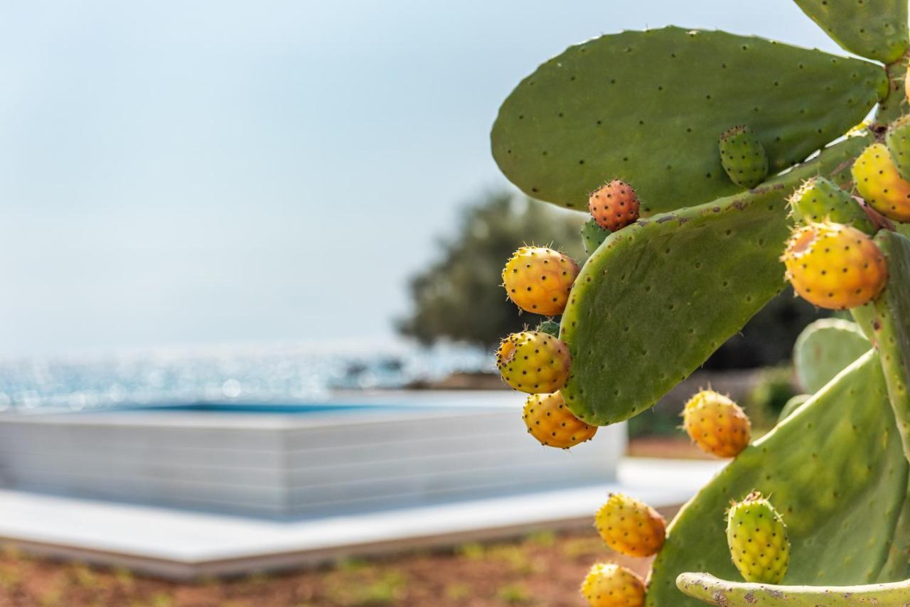Villa Eva, Luxury Salento Santa Maria di Leuca المظهر الخارجي الصورة